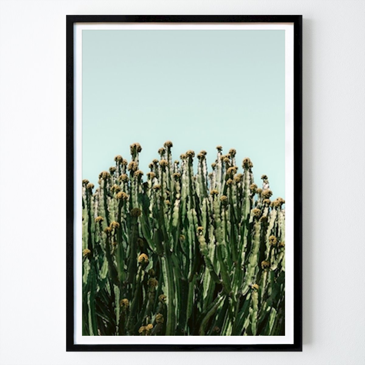 Poster: Kaktus-Vibes in Spanien von Hellohappylife Travel Photography von Printler