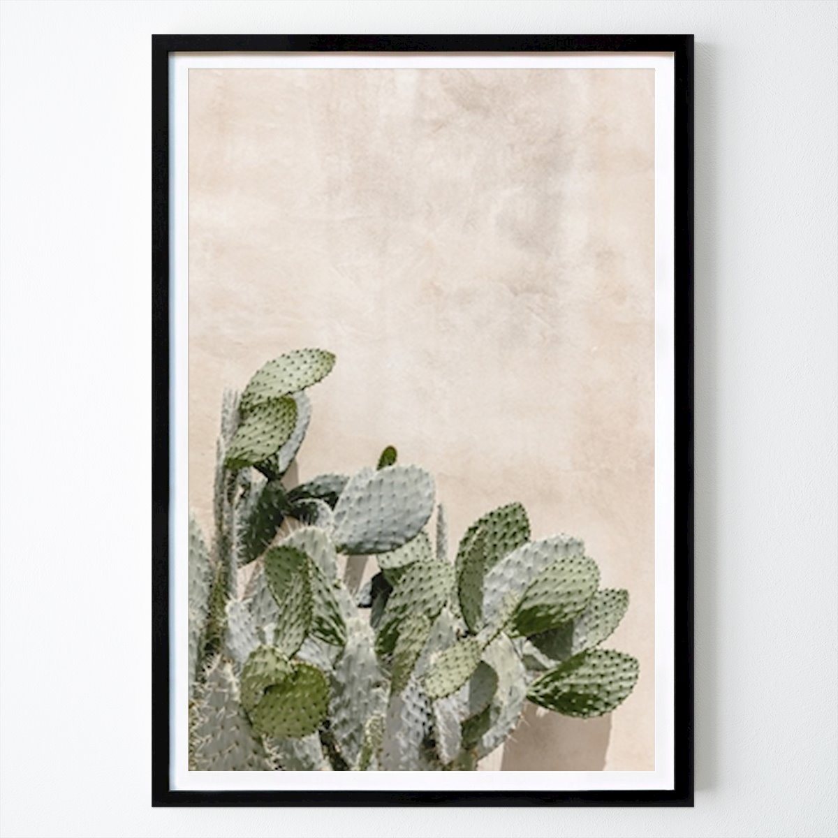 Poster: Kaktus in der Nähe einer Mauer von Diana and Ronnie von Printler