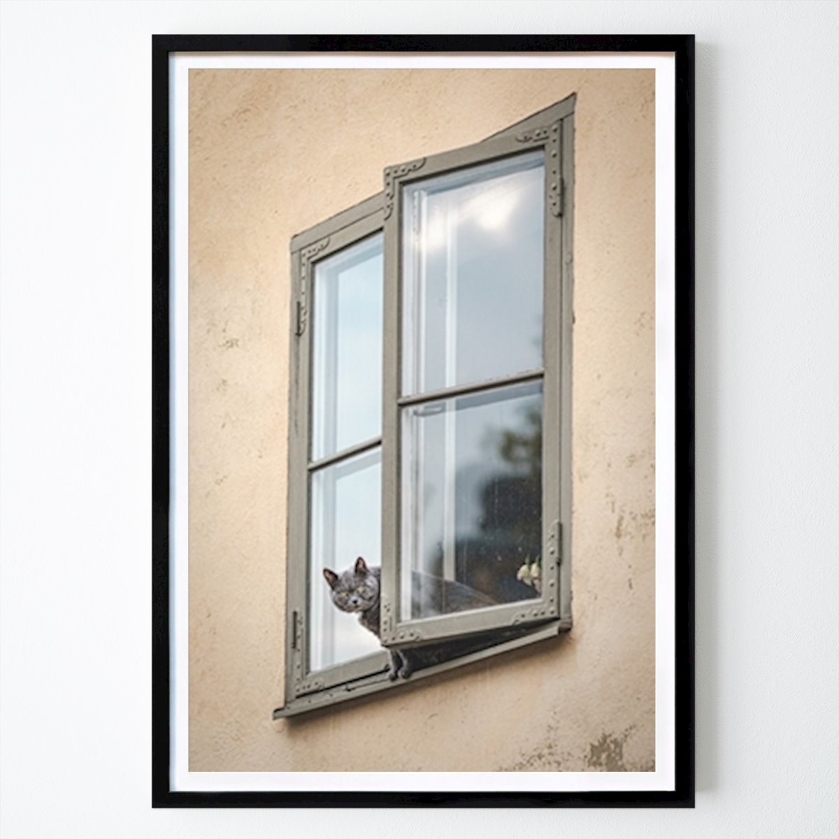 Poster: Katze im Fenster von Julia Hellerstedt von Printler