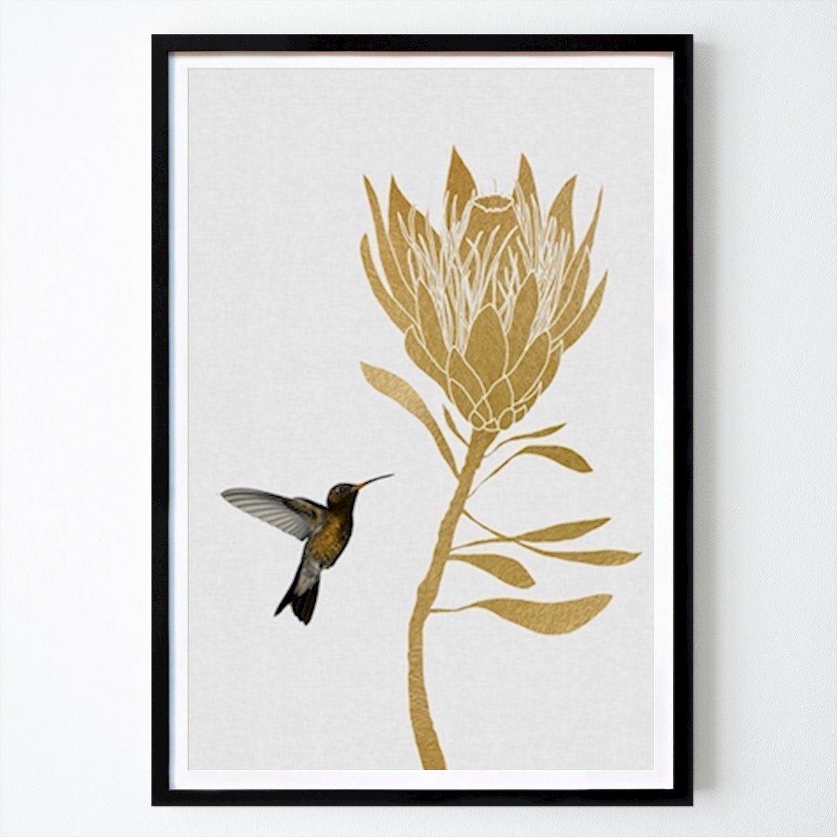 Poster: Kolibri & Blume I von Orara Studio von Printler