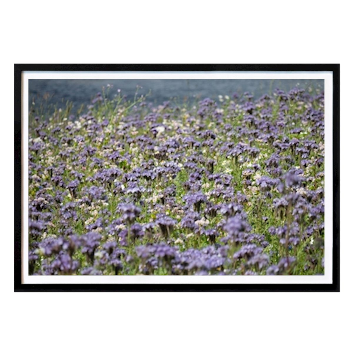 Poster: Meer aus Blumen von Åsa Johansson von Printler