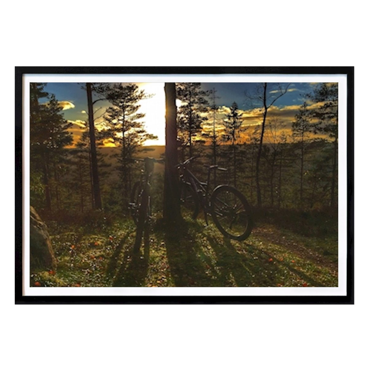 Poster: Mtb Natur von Ronny Davidsson von Printler