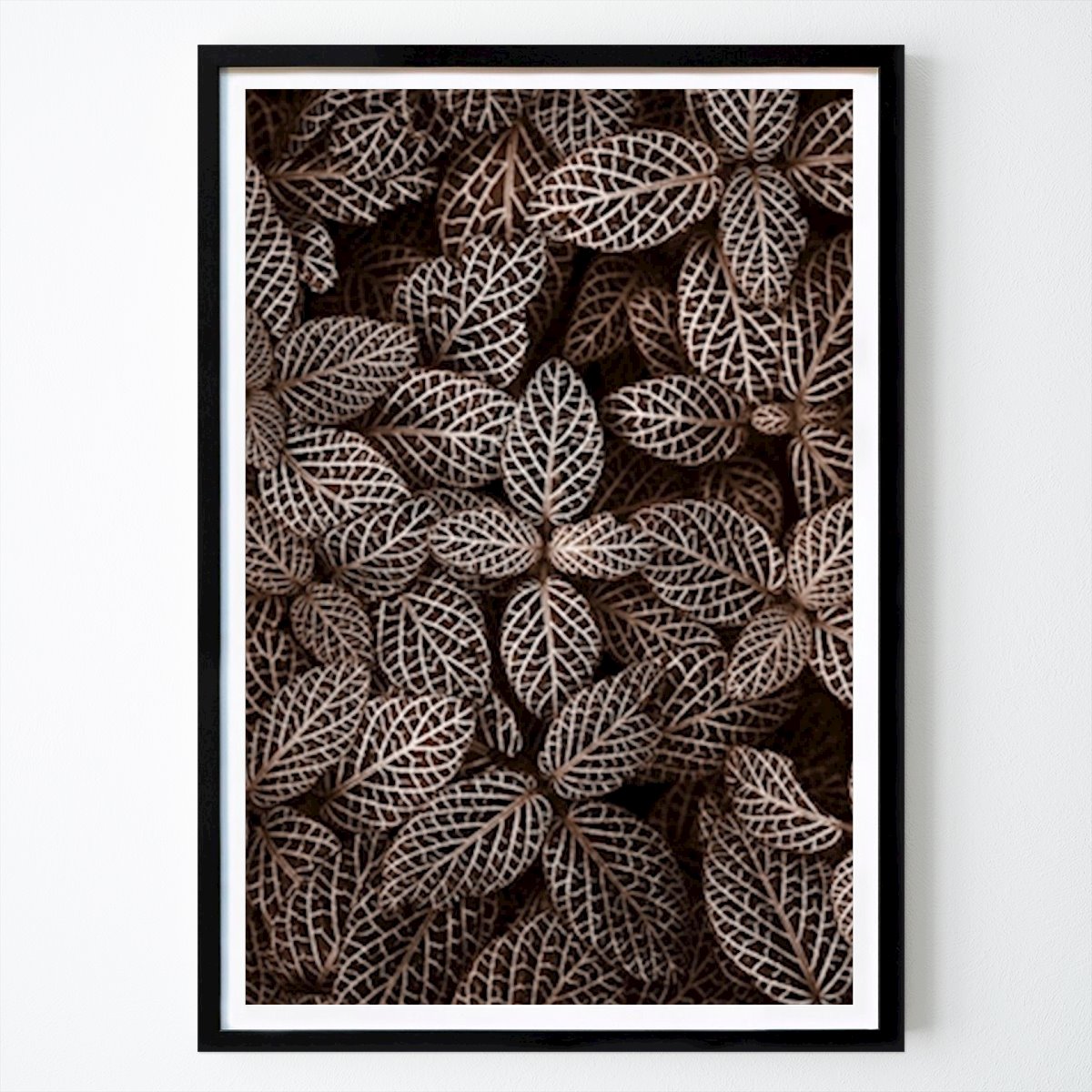 Poster: Muster der Natur II von Edith Nero von Printler