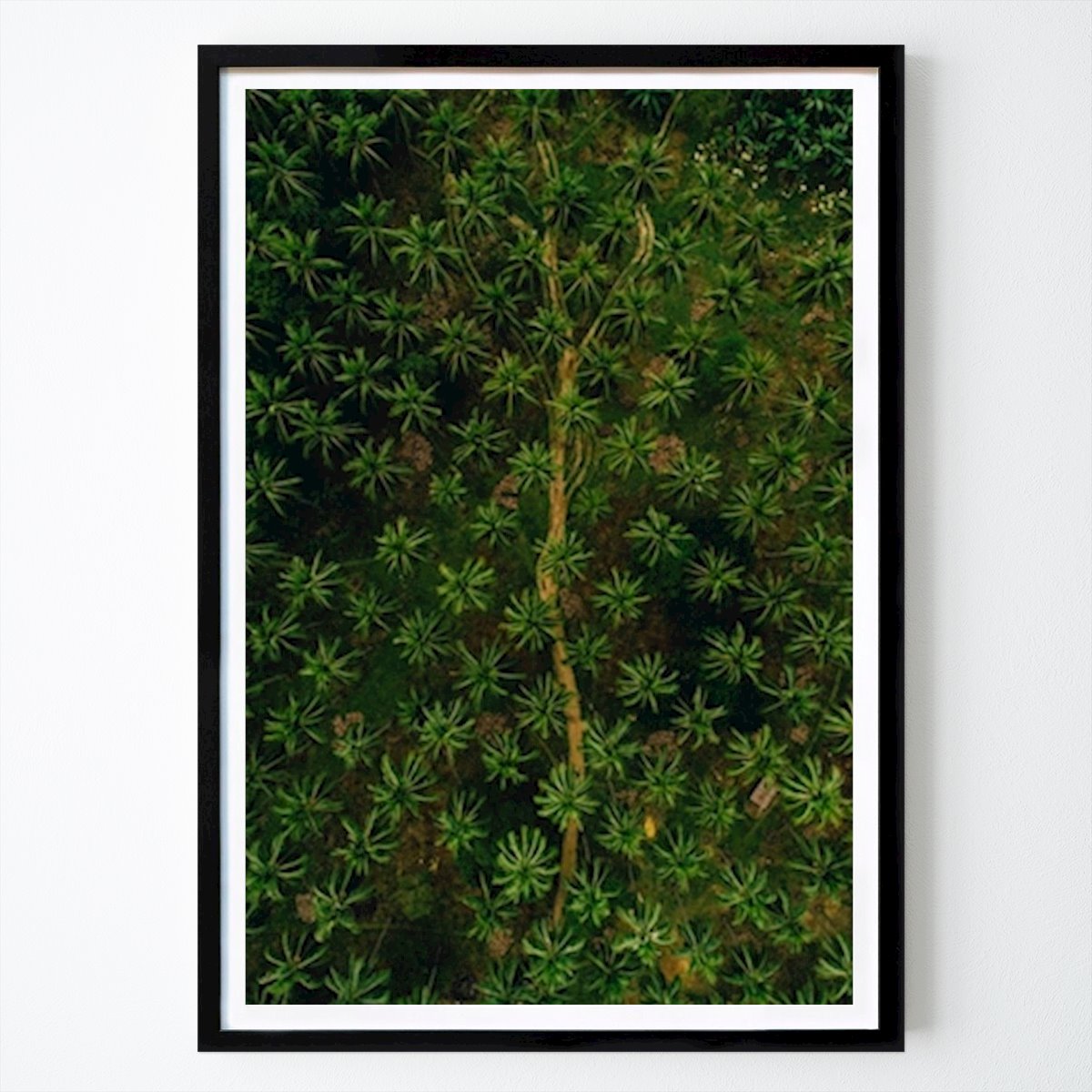 Poster: Muster in der Natur von Pao Duell von Printler
