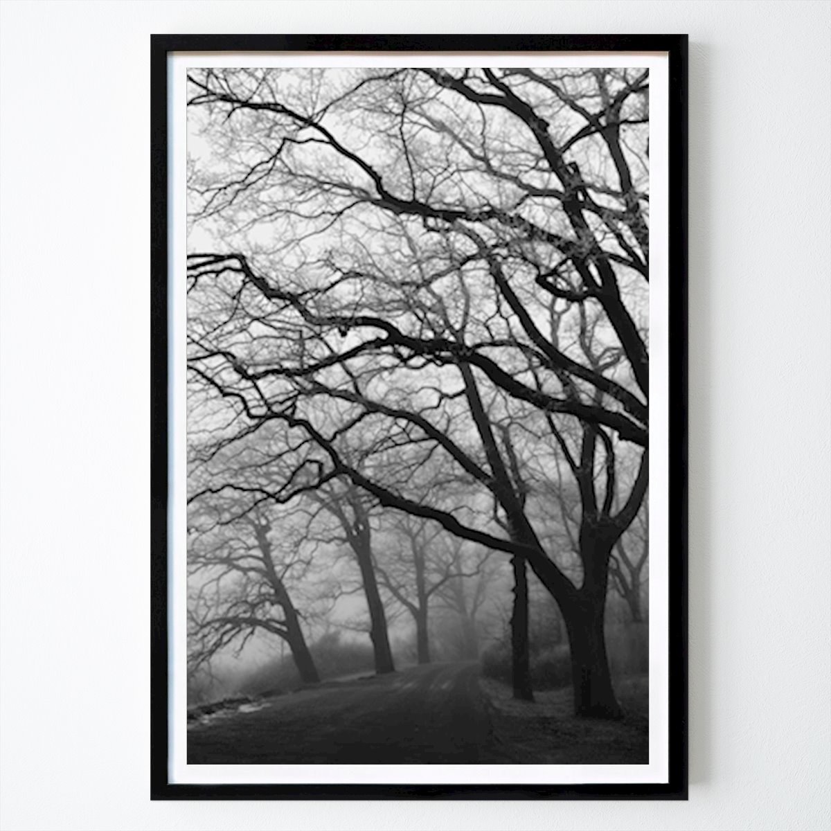 Poster: Nackte Bäume von Vaiva Adomenaite von Printler