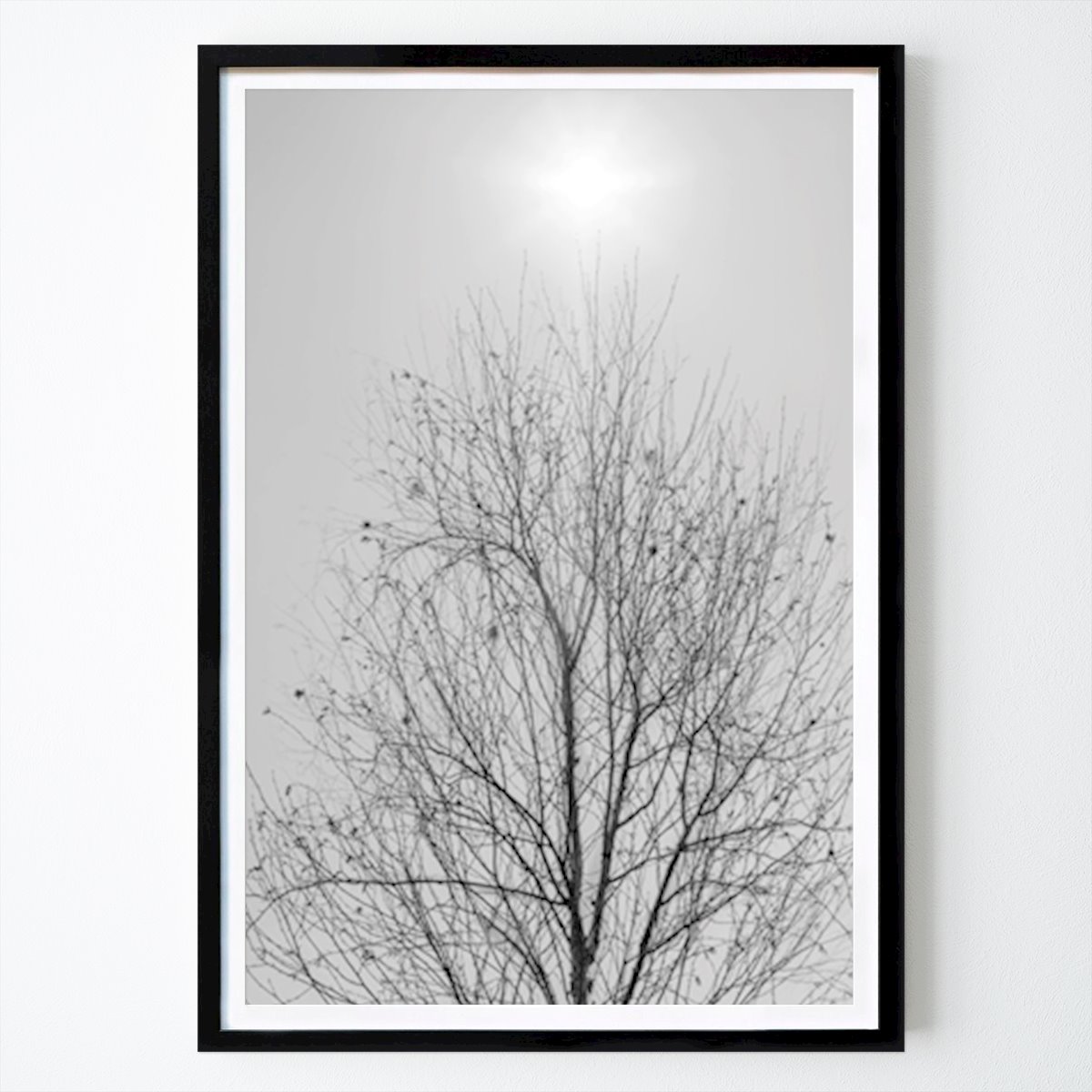 Poster: Nackter Baum von monika zawalska von Printler