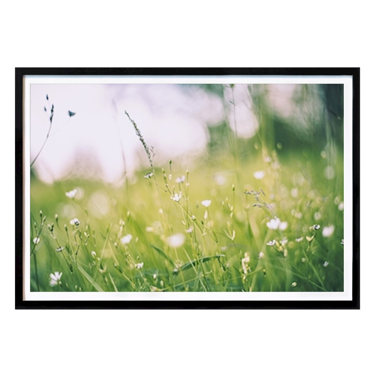 Poster: Nah an der Natur von Emelina Photography von Printler