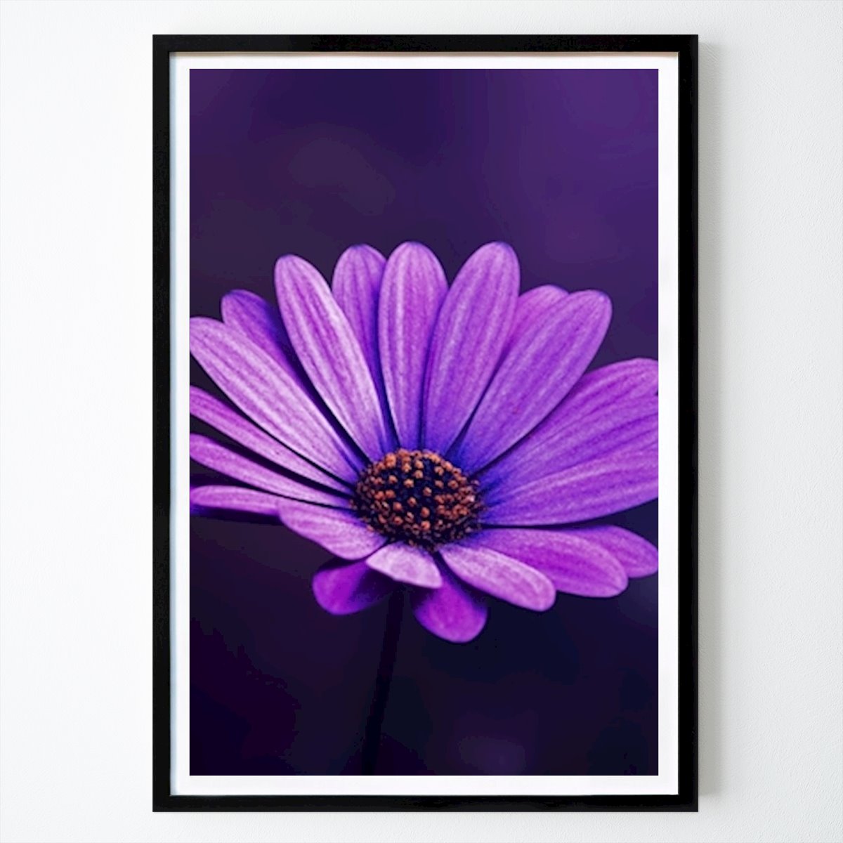 Poster: Nahaufnahme der lila Blume von Vitold Drutel von Printler