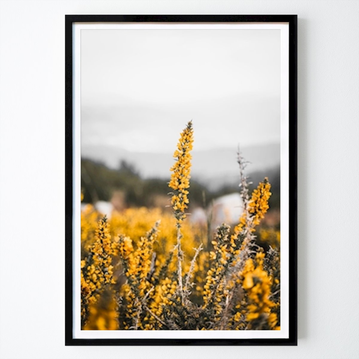 Poster: Natur blüht in gelben Farben von Matthias Rohde von Printler