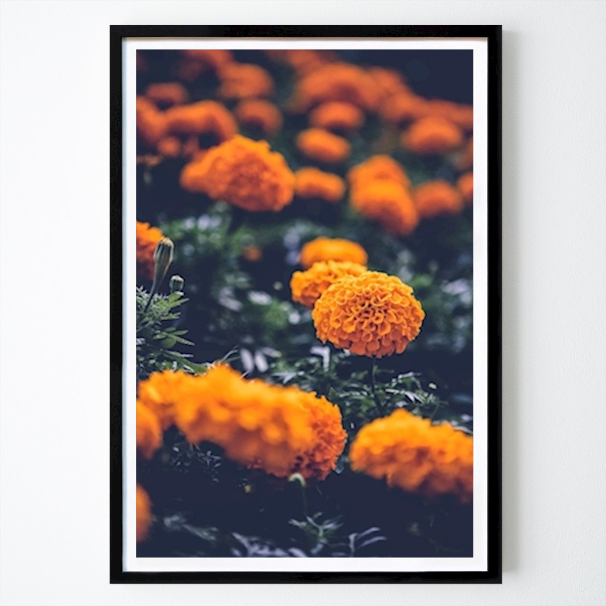 Poster: Orange Blume von Daniel Jirblad von Printler