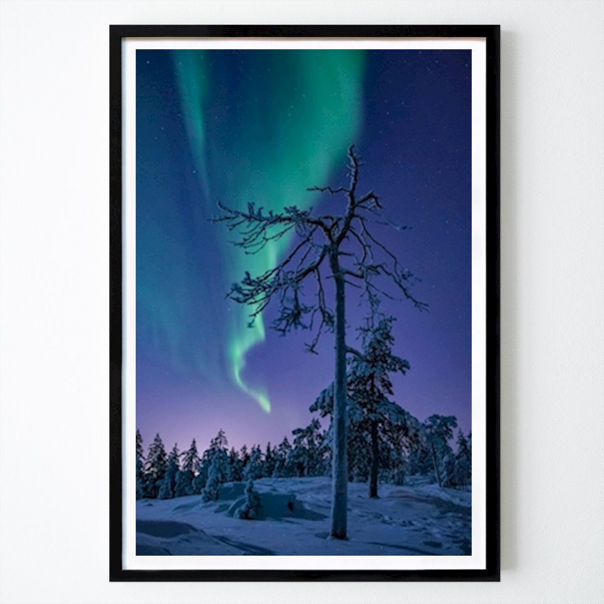 Poster: Polarlichter und alter Baum von Juhani Moilanen von Printler