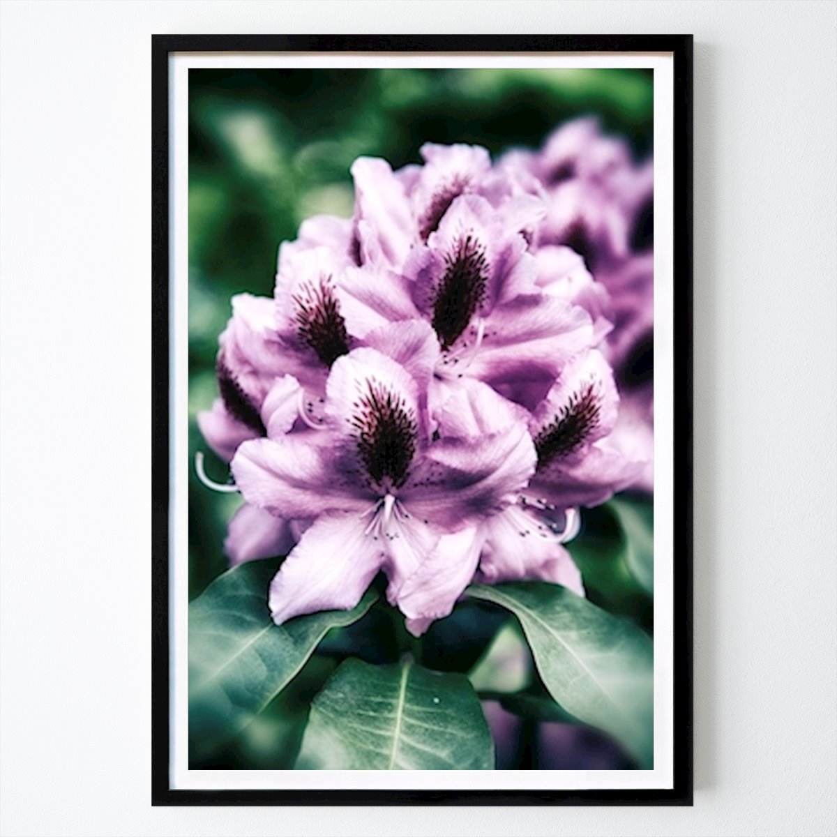 Poster: Rhododendron von Eva Thordstein von Printler