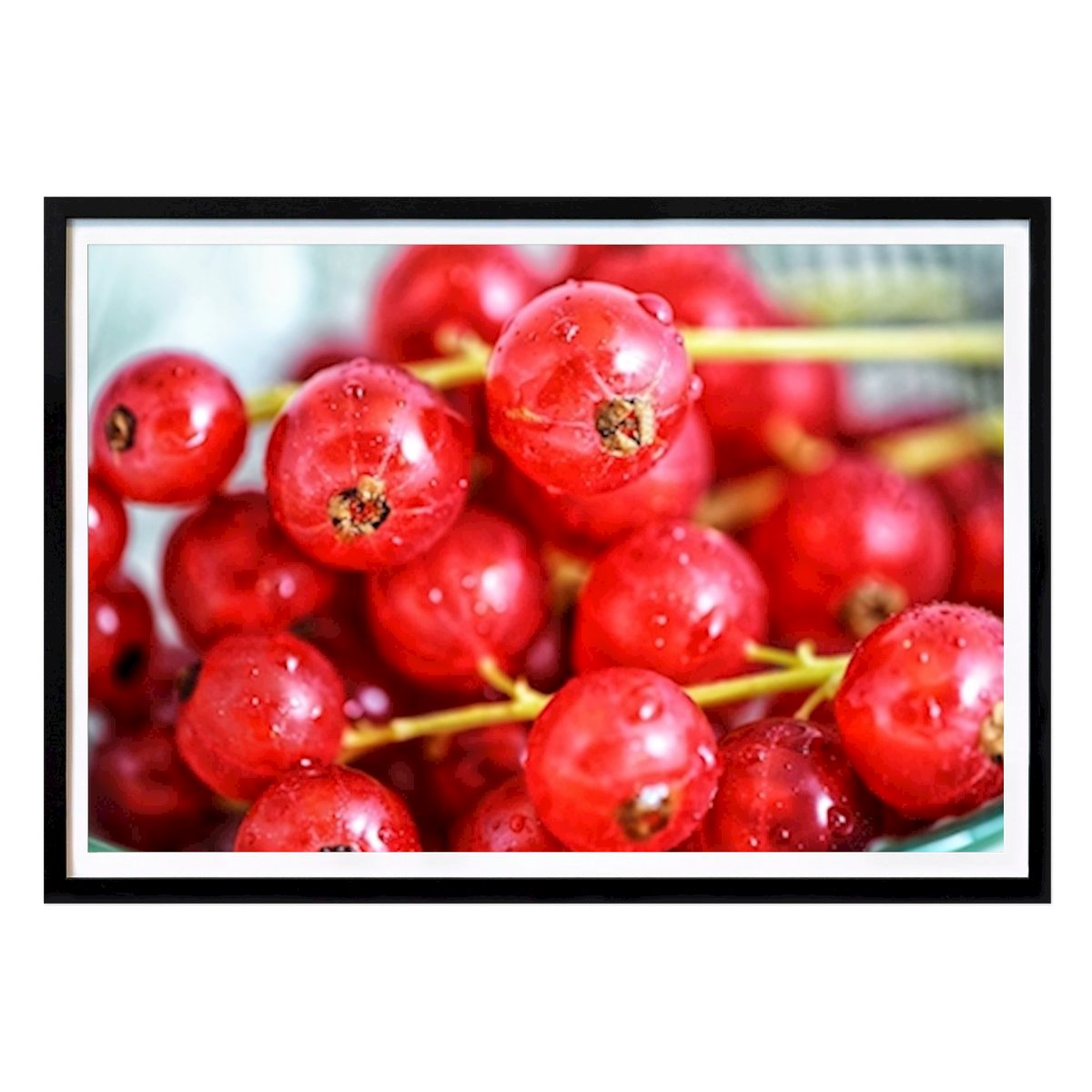 Poster: Rote Johannisbeere von Lenas Photography von Printler