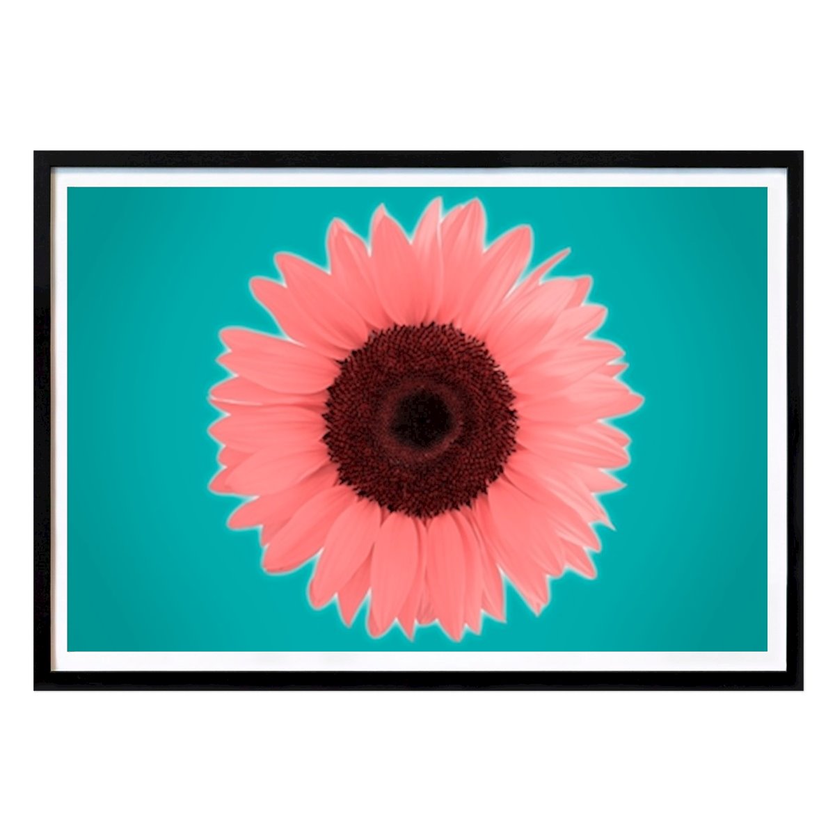Poster: Sonnenblume von Stephan Zaun von Printler