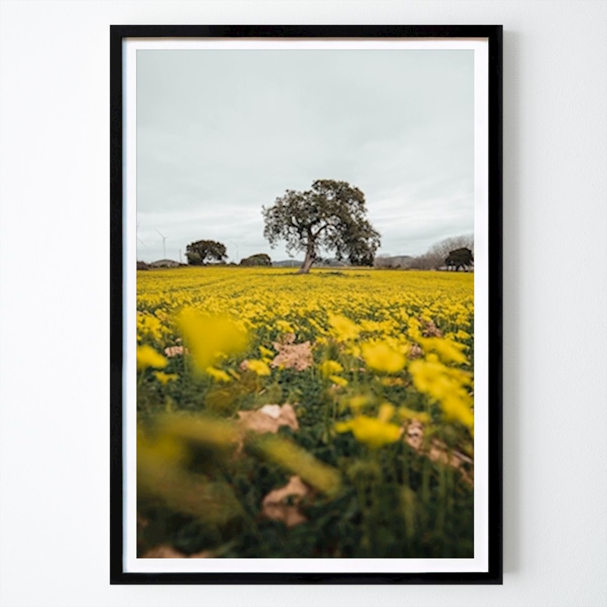 Poster: Stille Natur mit tausend Blume von Matthias Rohde von Printler