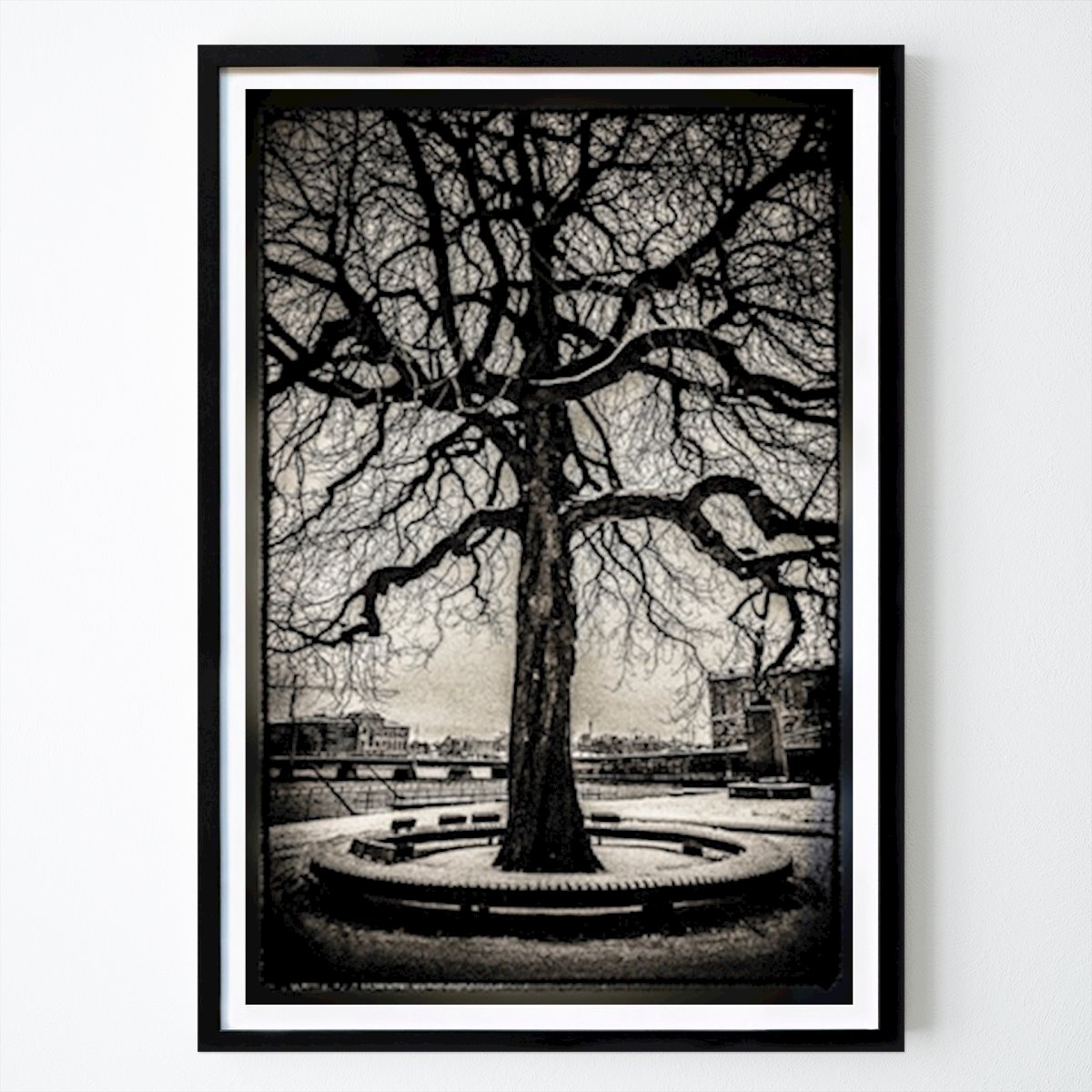 Poster: Stockholmer Baum von Kevin Chambers von Printler