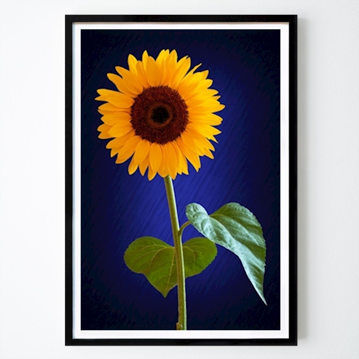 Poster: Sunflower von Stephan Zaun von Printler