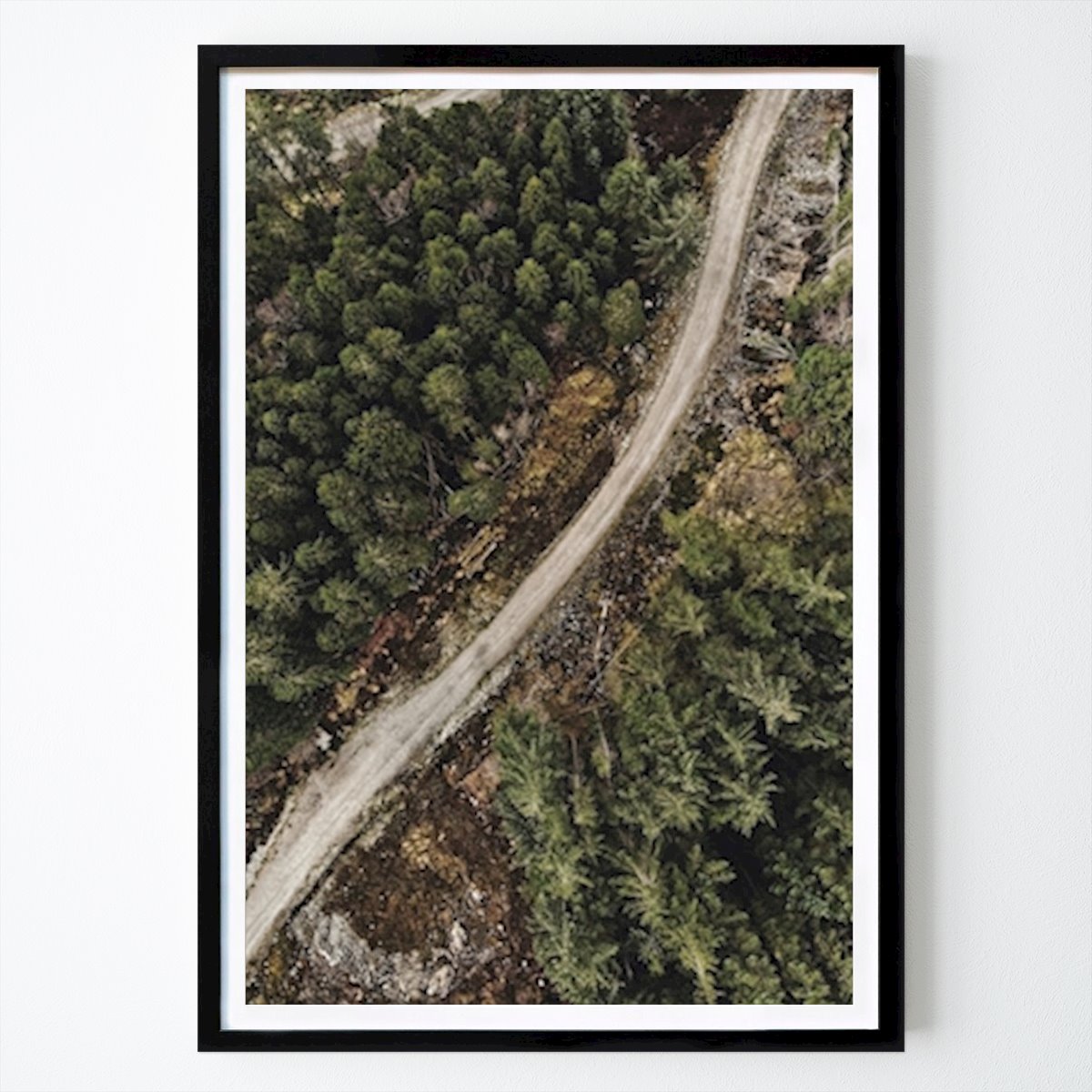 Poster: Trail & Bäume von Conor Doorley von Printler