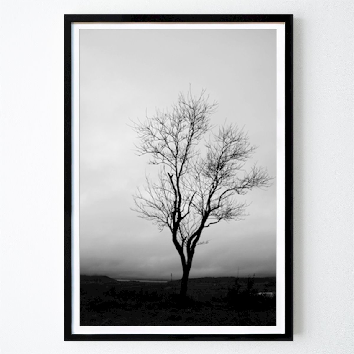 Poster: Trostloser Baum von Béatrice Posner von Printler