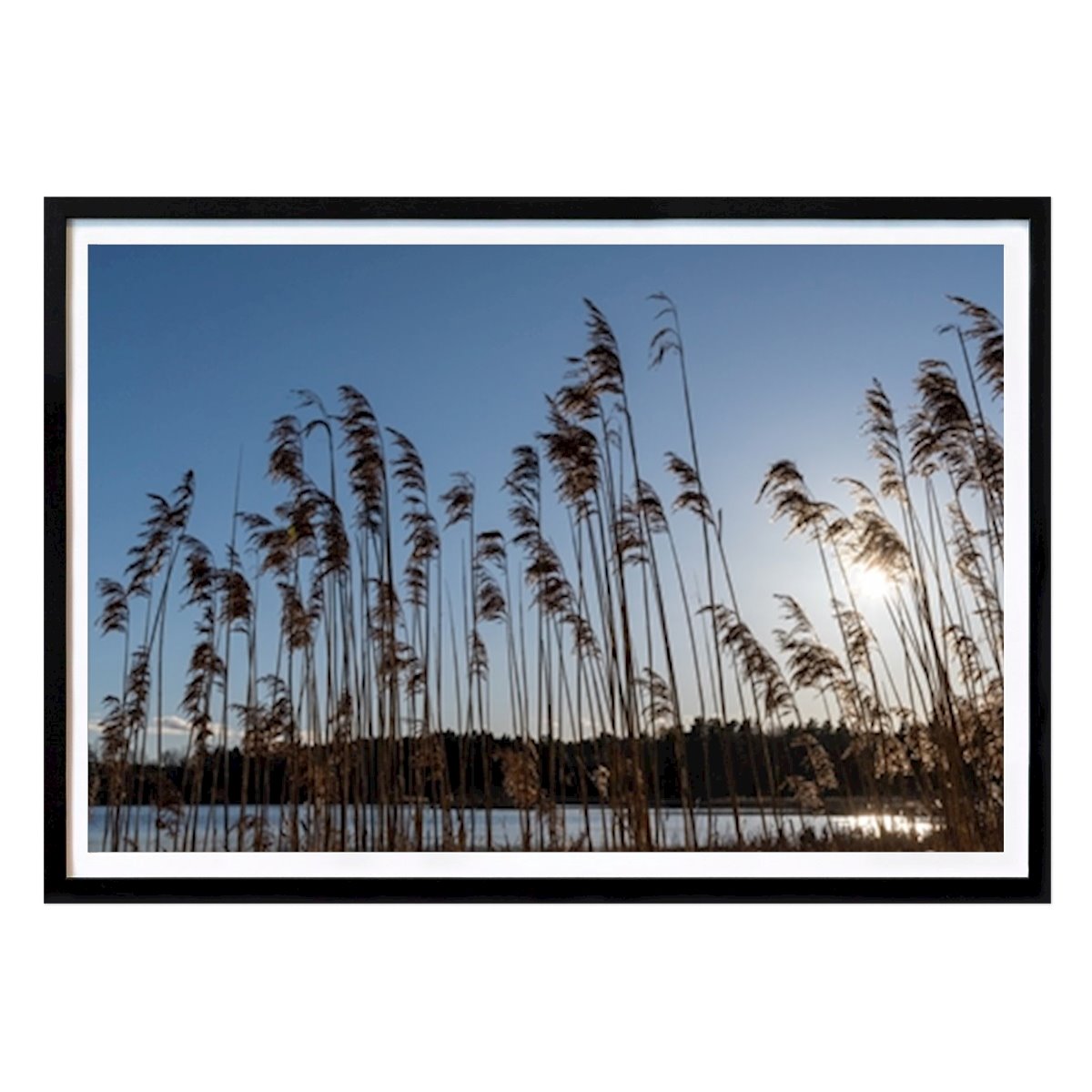 Poster: Vase ragt in den Himmel von Jenny Danhage von Printler