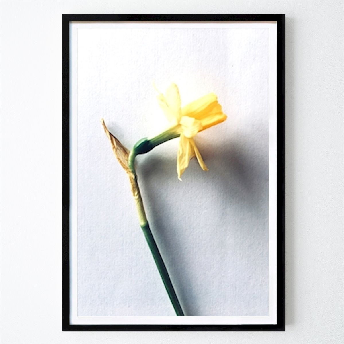 Poster: Verschwommene Blume von Tess Wiberg von Printler