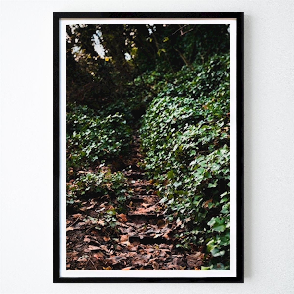 Poster: Weg zur Natur von Conor Doorley von Printler
