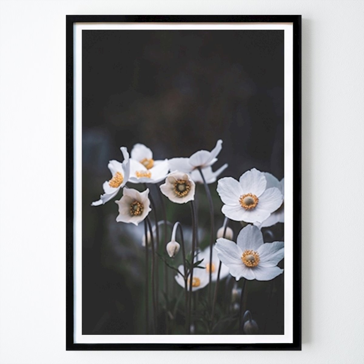 Poster: Weiße Blumen von Moody Flowers Photography von Printler