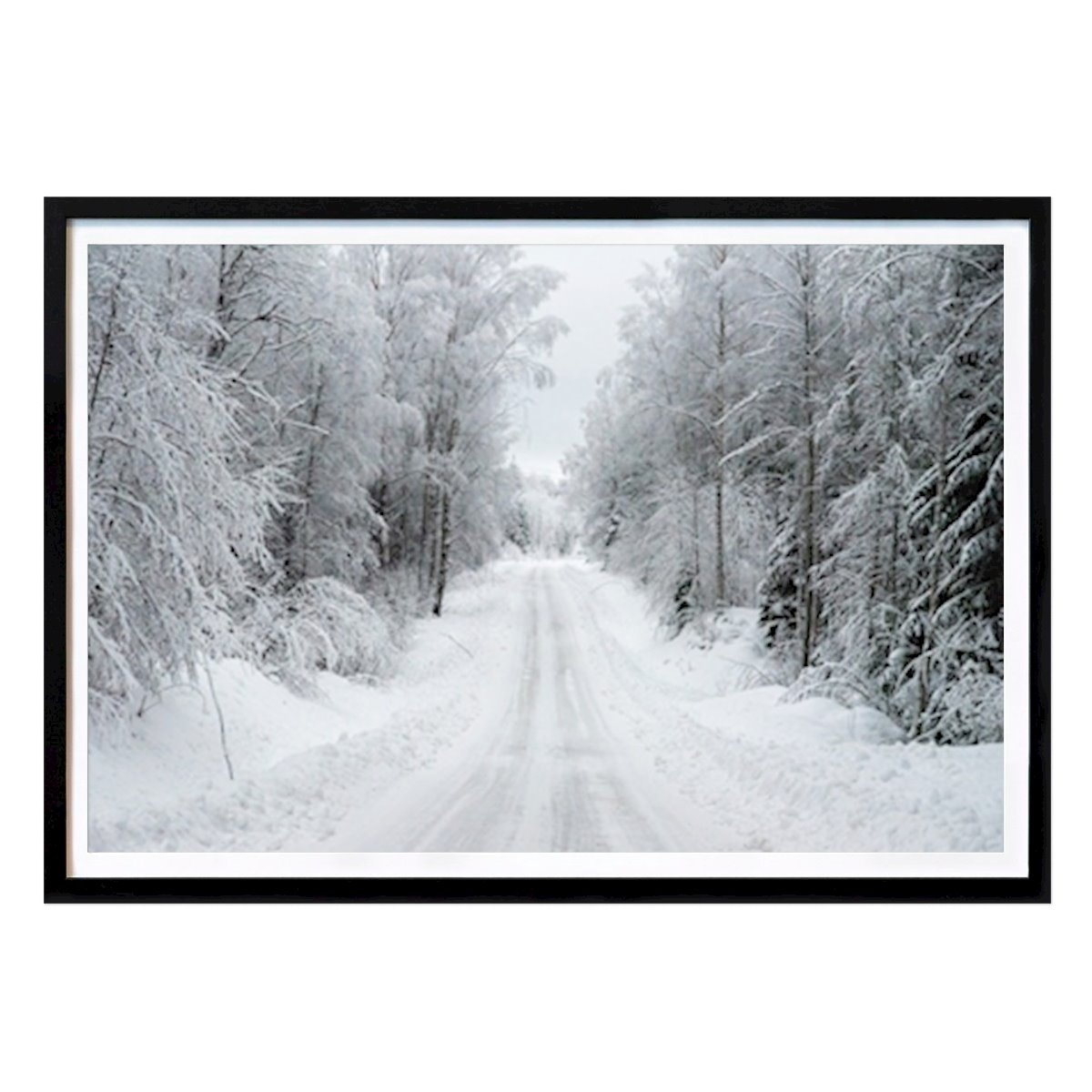 Poster: Winterweiße Straße durch den Wald. von Pernilla Delcomyn von Printler