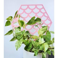 Meerjungfrauen-Gitter Für Zimmerpflanzen, 3D-Gedruckter Pflanzenstützpfahl, Rosa Pflanzengeschenk, Hoya-Reifen von Printsforplants