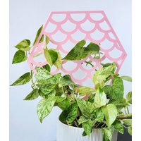 Mermaid Mermaid-Skala-Pflanzen-Rankgitter Rosa Hoya-Reifen, 3D Gedruckt von Printsforplants