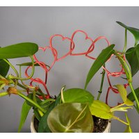 Mini Herz Rankgitter, 3D Gedruckt Mini Herz Rankgitter, 3D Gedruckt von Printsforplants