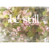Sei Still Und Weiß | Psalm 4610 Kjv Bibelvers Blühender Krebsbaum 11 X 14 Gerahmt, Rahmenlos, Leinwand Kunst Christliche Schrift Druck von PrintsofPeaceDesign