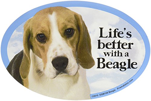 Cat & Dog Magnets-BeagleQ von Prismatix Decal