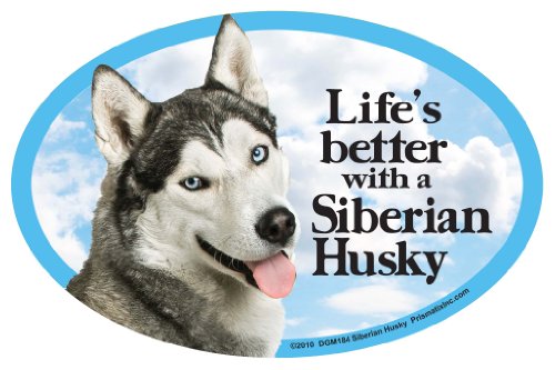 Prismatix Aufkleber Cat und Dog Magnete, Siberian Husky Prismatix Aufkleber Cat und Dog Magnete, Siberian Husky von Prismatix Decal