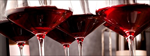 Pro-Art Red Wine I Glas-Art, bunt, 50 x 125 x 1,4 cm von Pro-Art