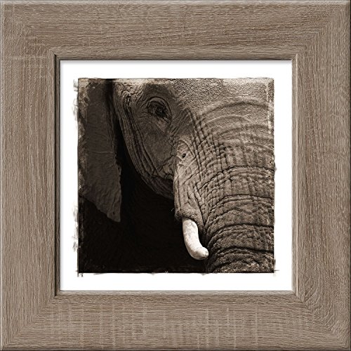 Pro-Art an431o17 Wandbild New Classic Wood "Giant", 44 x 44 cm von Pro-Art-Bilderpalette