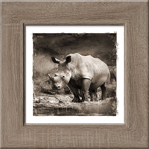 Pro-Art an432o17 Wandbild New Classic Wood "Powerful", 44 x 44 cm von Pro-Art-Bilderpalette