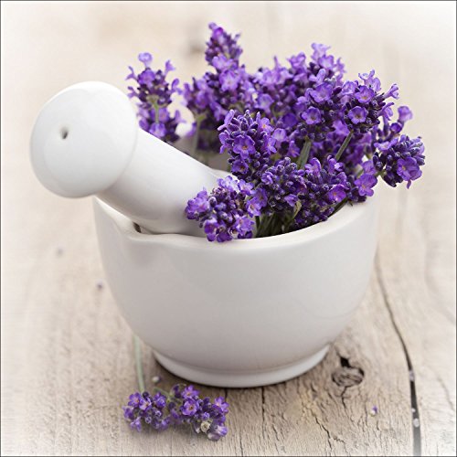 Pro-Art gla730b Wandbild Glas-Art "Lovely lavender III", 50 x 50 cm Pro-Art gla730b Wandbild Glas-Art "Lovely lavender III", 50 x 50 cm von Pro-Art-Bilderpalette