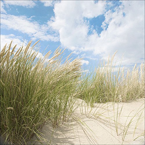 Pro-Art gla759b Wandbild Glas-Art "Sommertag I", 50 x 50 cm von Pro-Art-Bilderpalette