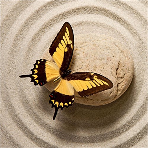 Pro-Art gla991a Wandbild Glas-Art "Butterfly I", 30 x 30 cm von Pro-Art