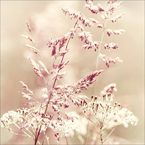 Pro-Art Cabbage III Glas-Art, bunt, 20 x 20 x 1,3 cm Pro-Art Cabbage III Glas-Art, bunt, 20 x 20 x 1,3 cm von Pro-Art-Bilderpalette