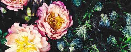 Pro-Art Glasbild Baroque Peonies II, 30x80 cm von Pro-Art