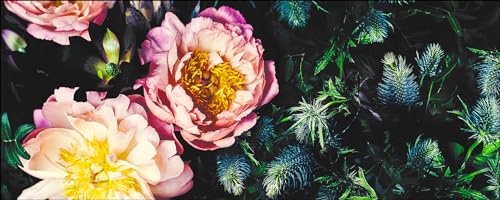 Pro-Art Glasbild Baroque Peonies II, 50x125 cm von Pro-Art