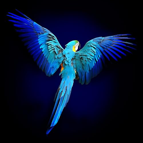 Pro-Art Glasbild Blue Parrot, 50x50 cm von Pro-Art