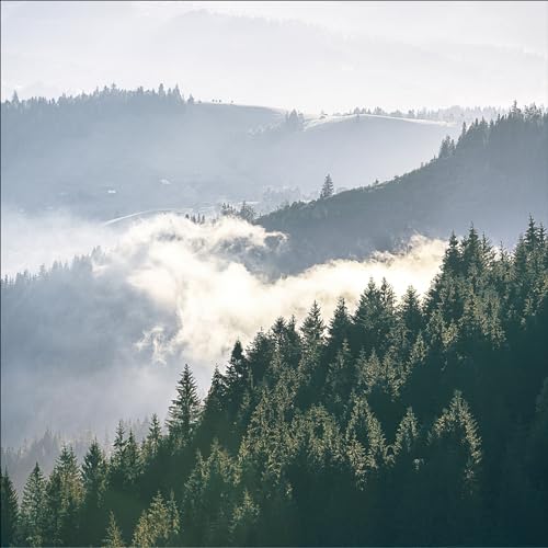 Pro-Art Glasbild Gloomy Landscape II, 30x30 cm von Pro-Art-Bilderpalette
