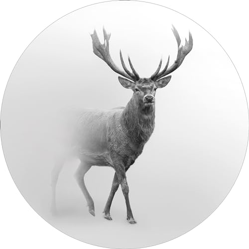 Pro-Art Glasbild Grey Deer V, rund 20 cm von Pro-Art