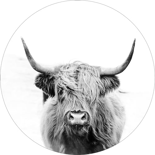 Pro-Art Glasbild Highland Cattle III, rund 20 cm von Pro-Art