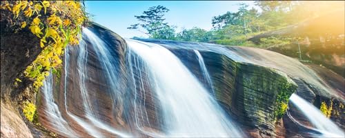 Pro-Art Glasbild Jungle Waterfall, 50x125 cm Pro-Art Glasbild Jungle Waterfall, 50x125 cm von Pro-Art-Bilderpalette