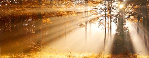 Pro-Art Glasbild Mystic Light III, 50x125 cm Pro-Art Glasbild Mystic Light III, 50x125 cm von Pro-Art-Bilderpalette