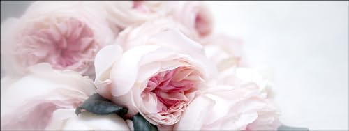 Pro-Art Glasbild Pink Roses, 50x125 cm von Pro-Art
